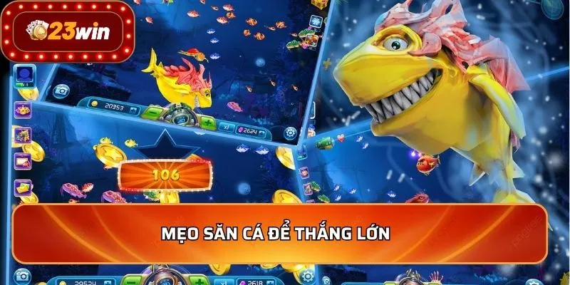 Mẹo săn cá để thắng lớn  